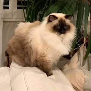 Meet your Posher, Ashlyn